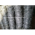 Electro and Hot Dipped Hot Dipped Barbe Wire (specialized manufacturer)